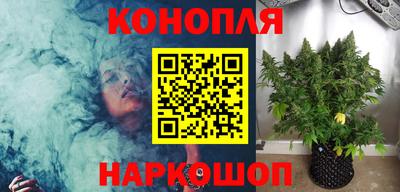 jwh Будённовск