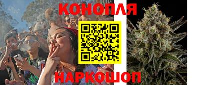 прущие грибы Бузулук